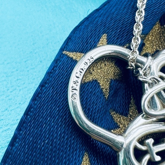 Tiffany & Co. Filigree Heart Lock Key Charm Necklace 18” with Packaging - Picture 5 of 9